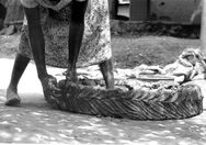 photograph 3